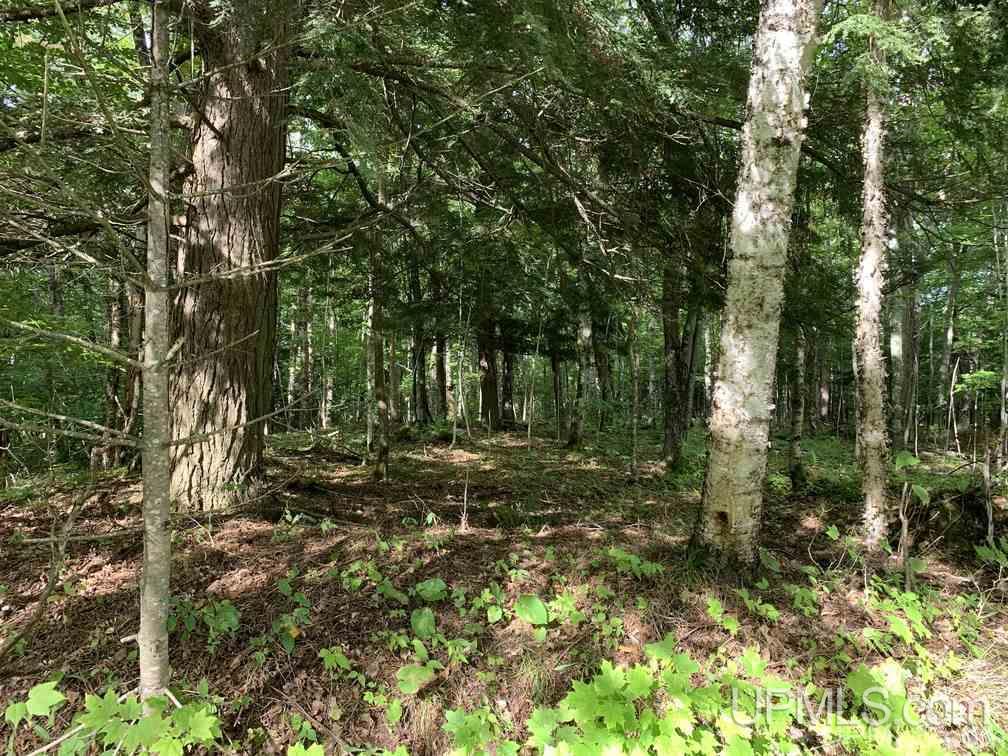 Lot 1 Bayview Road Lanse, MI 49946 - Photo 5 of 27