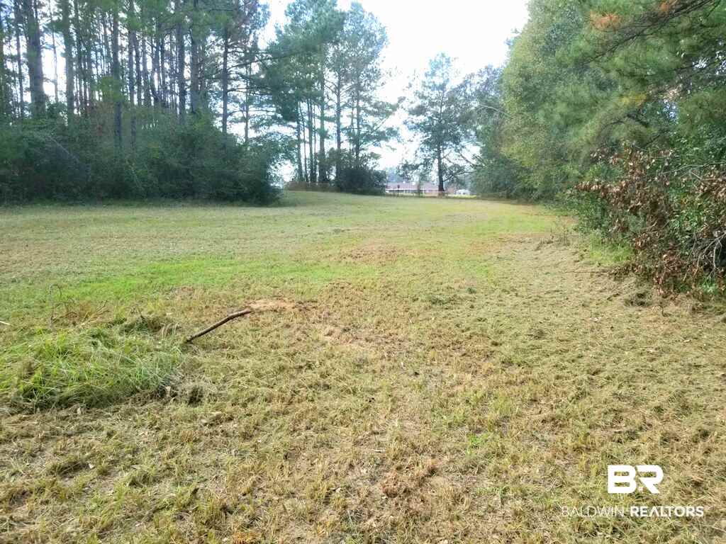 10685 John Little Road Bay Minette, AL 36507 - Photo 2 of 16