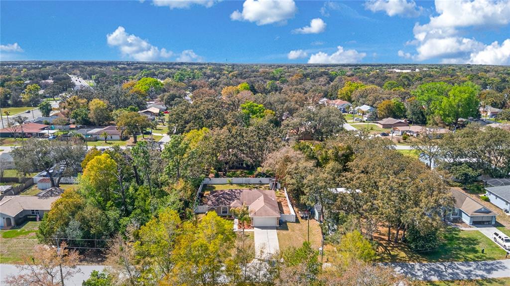 1429 Laredo Avenue Spring Hill, FL 34608 - Photo 27 of 28 a view of a city