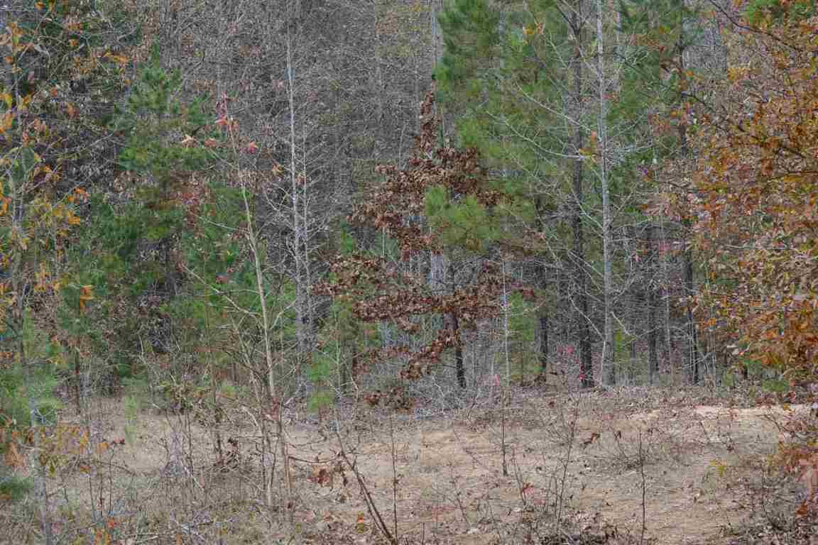 0 Smith McGee Road Iva, SC 29655 - Photo 2 of 5 Gallery Image 2