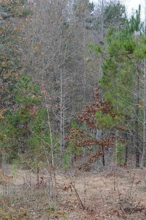 0 Smith McGee Road Iva, SC 29655 - Photo 3 of 5 Gallery Image 3