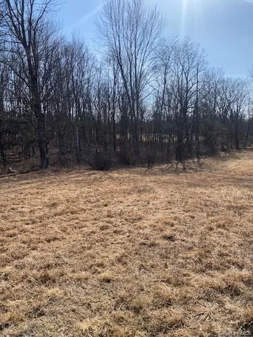 a view of dirt yard with a tree