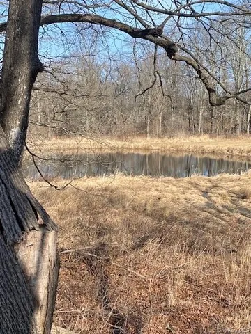 a view of basketball court with trees in background