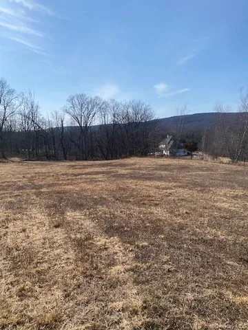 a view of dirt yard with a tree