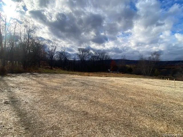 a view of a yard with tree s