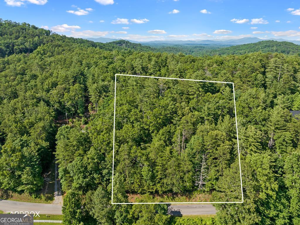 2-ac Ritchie Creek Road Blue Ridge, GA 30513 - Photo 2 of 12