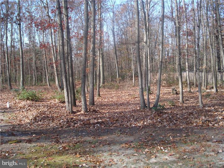 45 Edgewood Road Sicklerville, NJ 08081 - Photo 6 of 23
