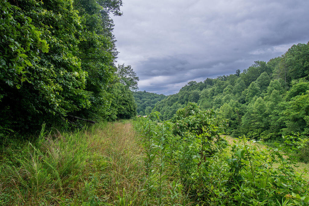 0 R R Vancleve Road Campton, KY 41301 - Photo 15 of 22 DSC_1795