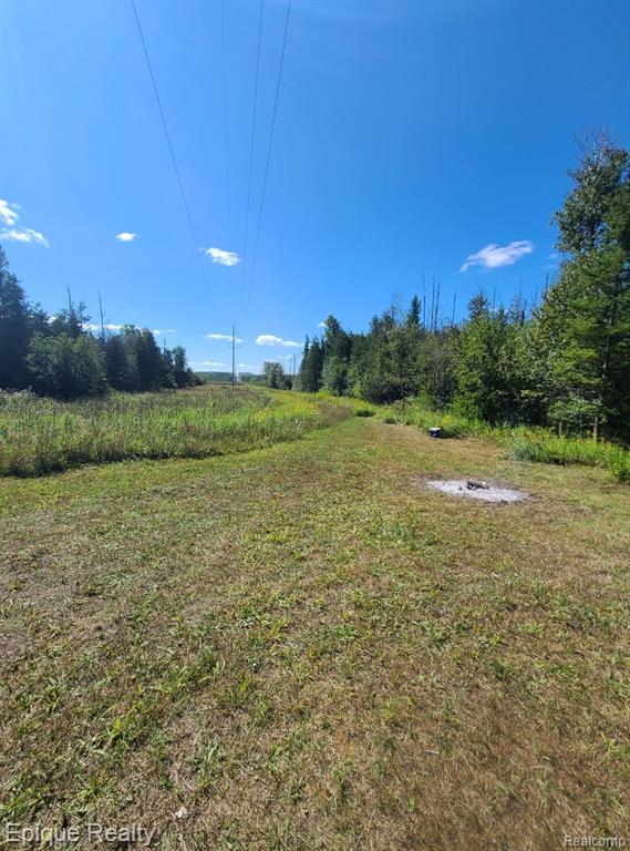 0 Hebron Mail Route Road Cheboygan, MI 49721 - Photo 8 of 16