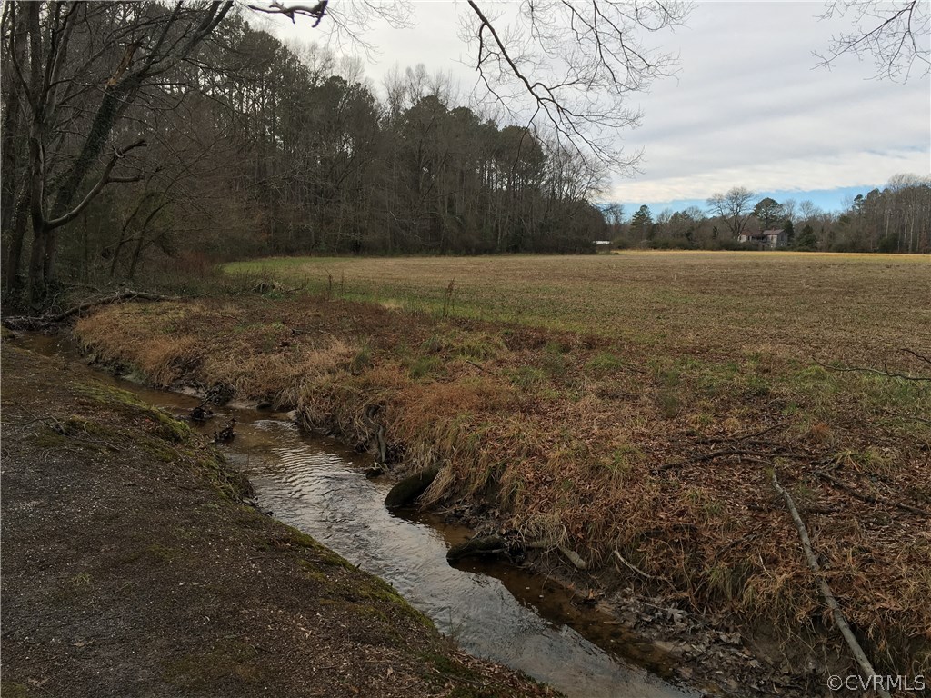 112 Beverly Road Ashland, VA 23005 - Photo 19 of 20 Creek at rear property line