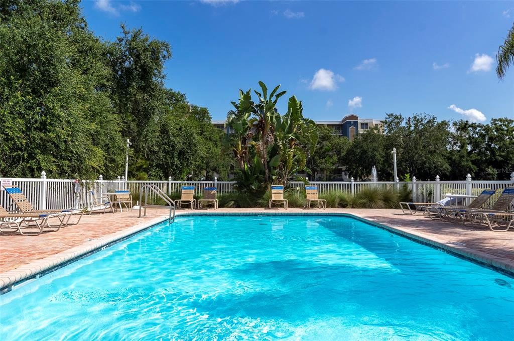 1050 Starkey Road, Unit 208 Largo, FL 33771 - Photo 26 of 30 a view of a swimming pool with a patio and a yard