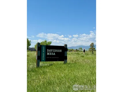 a view of a bench in the garden