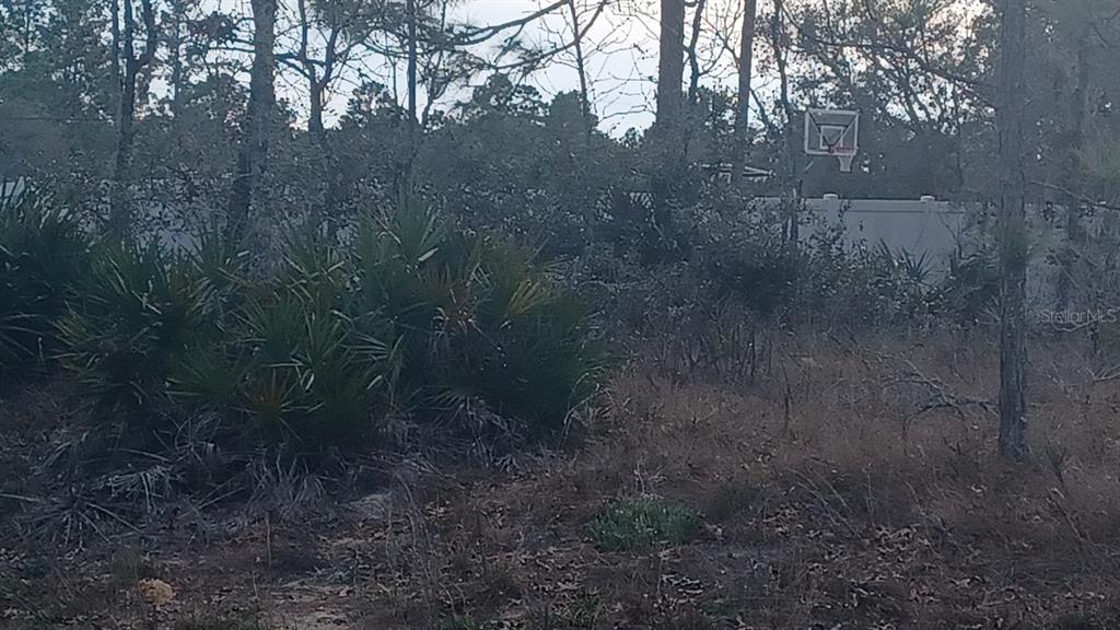 13 English Parrot Road Brooksville, FL 34614 - Photo 3 of 3 Gallery Image 3