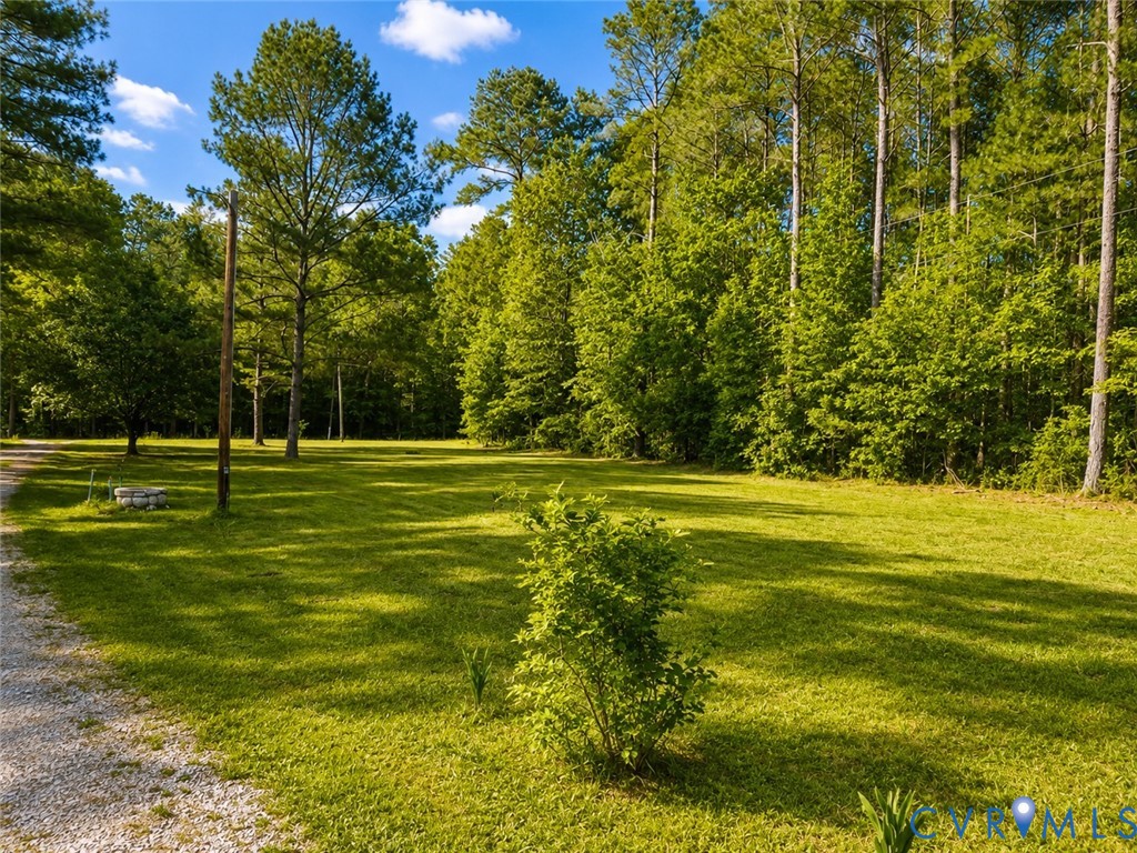 14175 Lebanon Road Disputanta, VA 23842 - Photo 48 of 60 Cleared land for a nice side yard