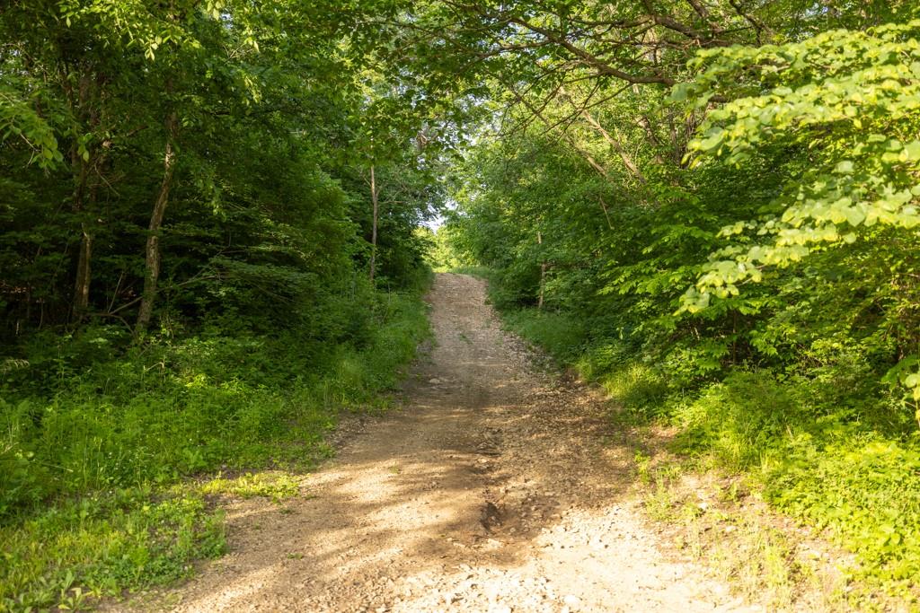 17710 Southwest 31st Road De Kalb, MO 64440 - Photo 39 of 99