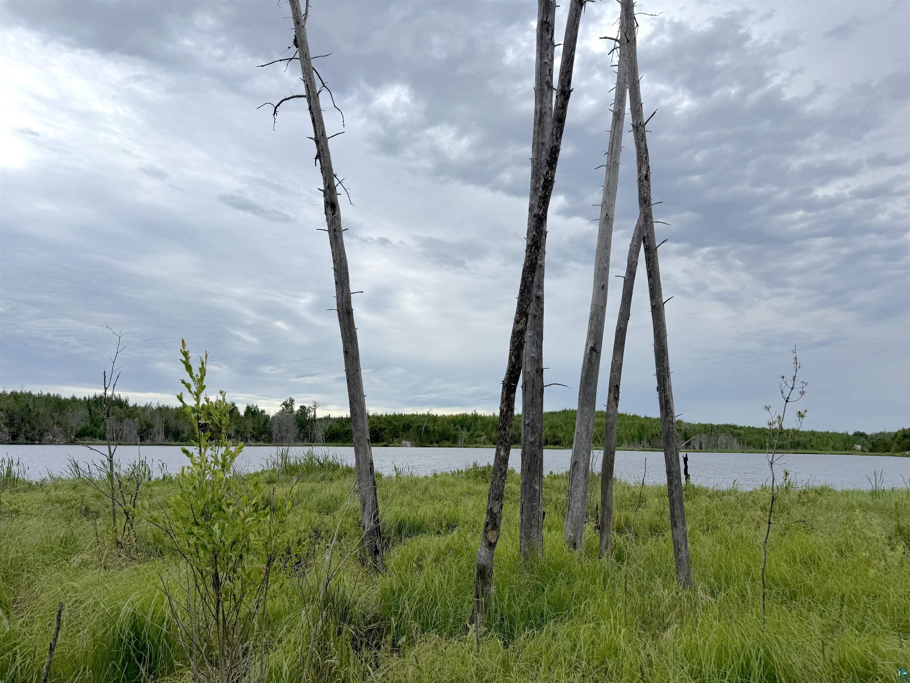 Tbd Onagon Lake Road Grand Marais, MN 55604 - Photo 7 of 14