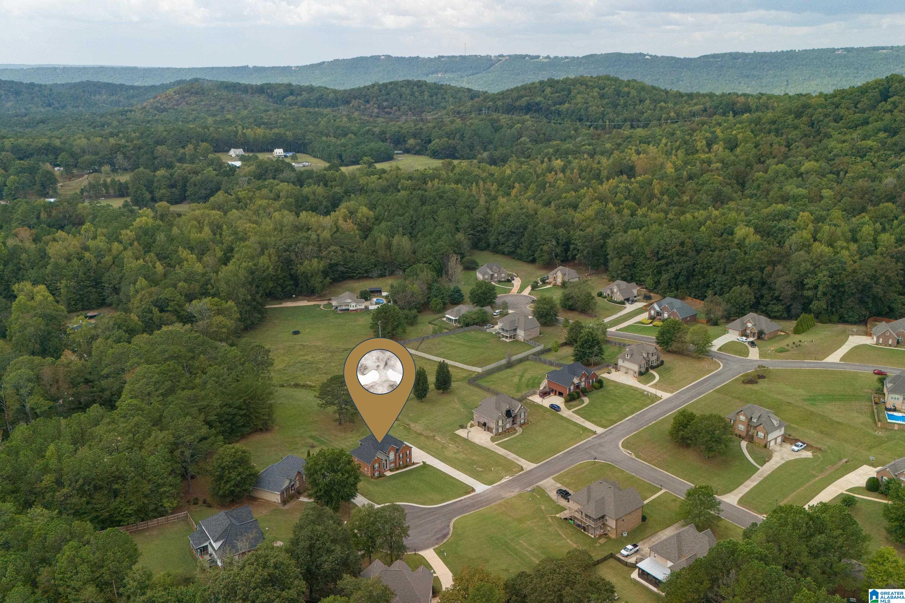 21 Farm Court Springville, AL 35146 - Photo 55 of 67