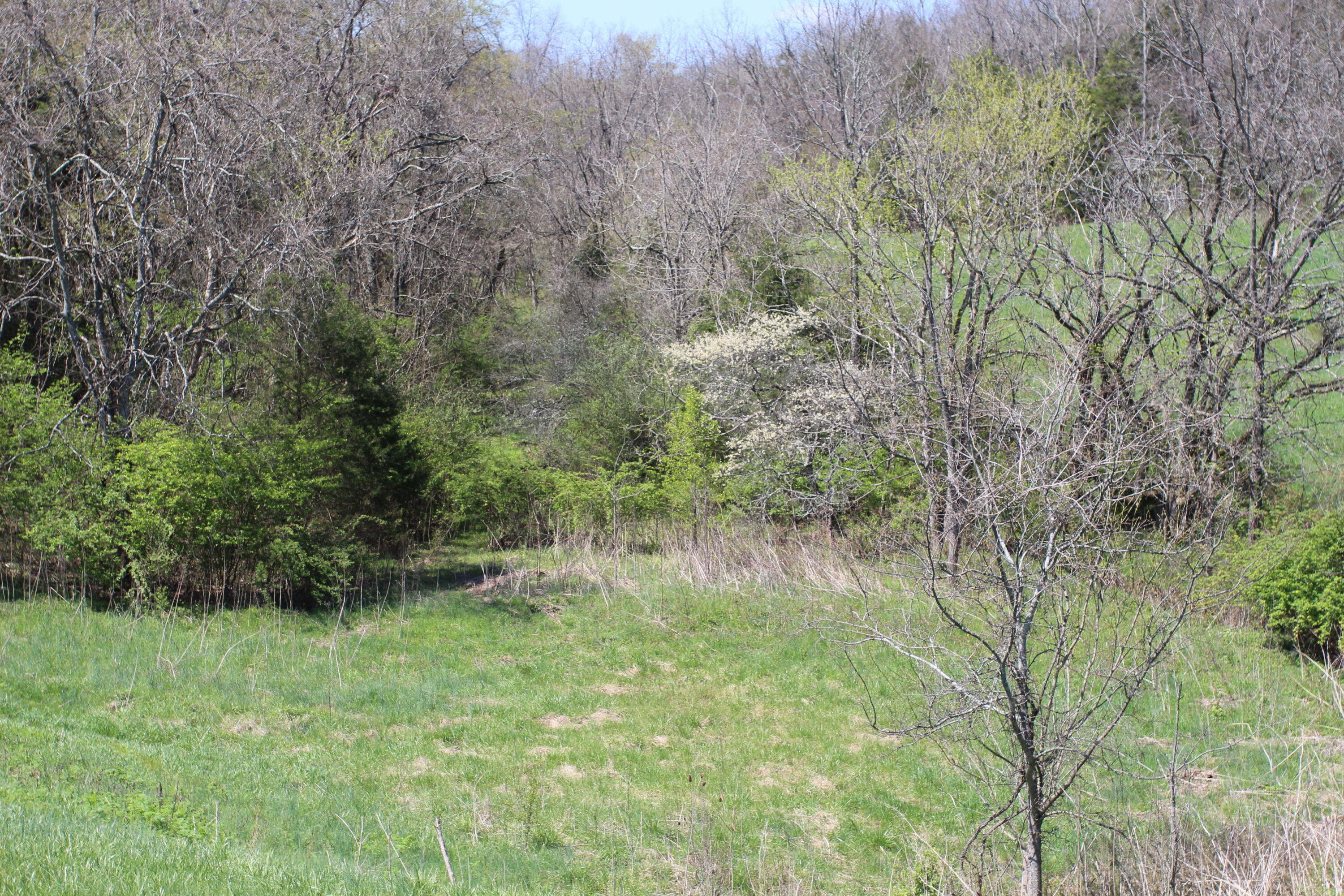 127 Owenton Road Owenton, KY 40359 - Photo 28 of 33 1- land owen county (27)