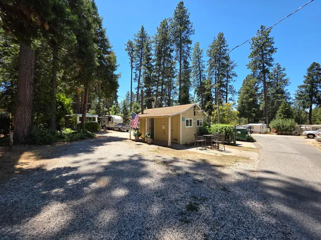 a view of a backyard with large trees