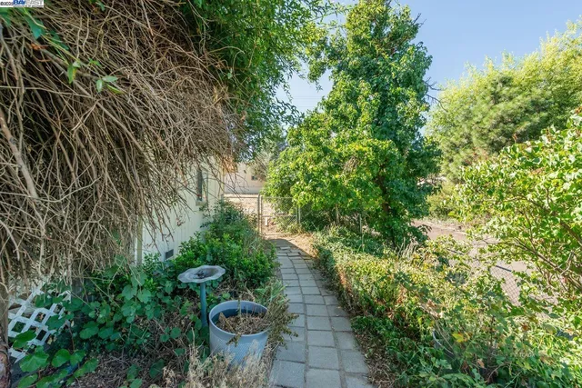 a backyard of a house with lots of green space
