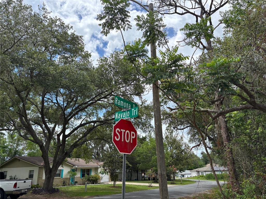 290 Navajo Trail Spring Hill, FL 34606 - Photo 5 of 8 a view of a park with trees and cars parked in front of it