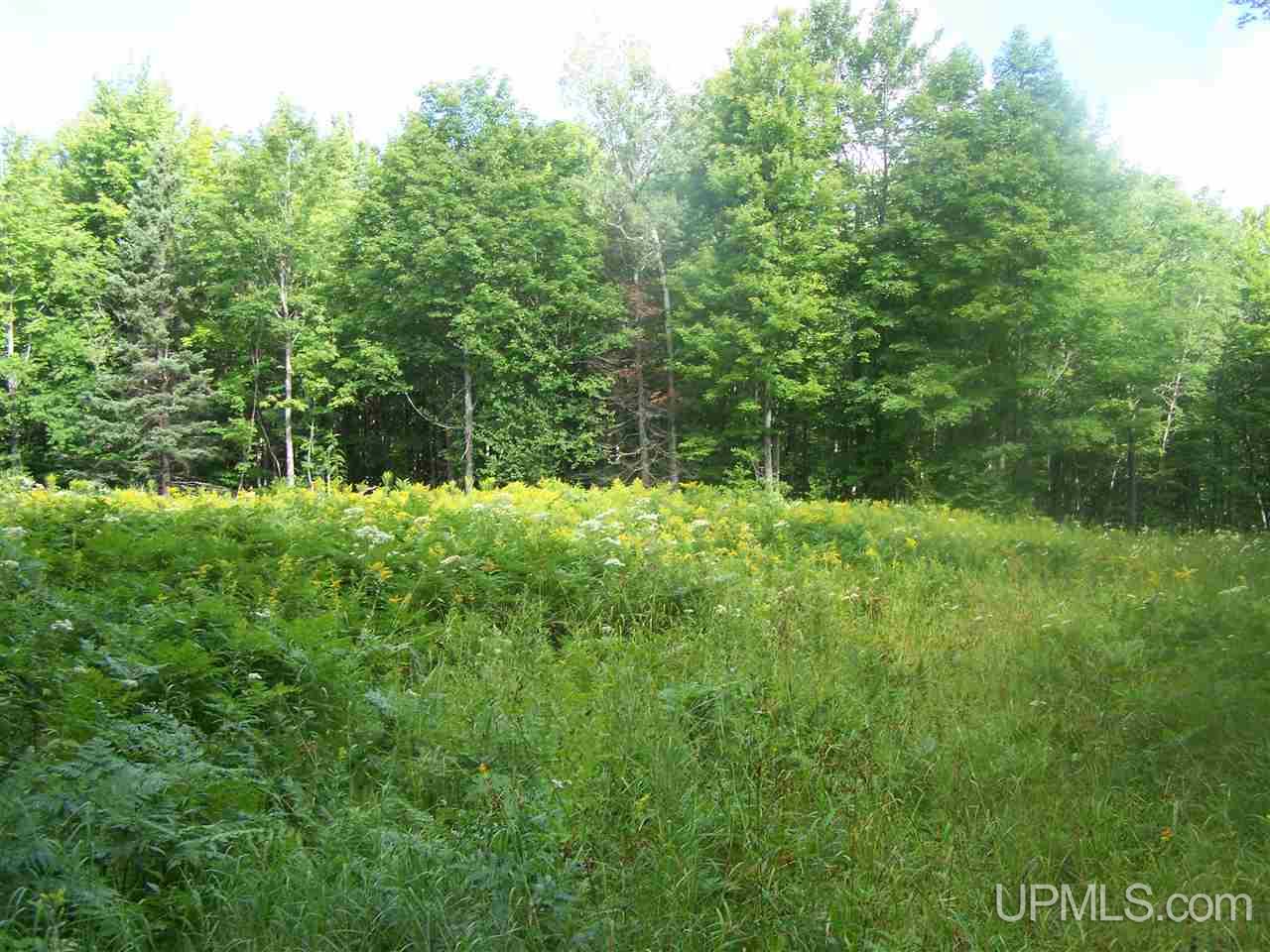 C-wi Park Road Hurley, WI 54534 - Photo 17 of 27