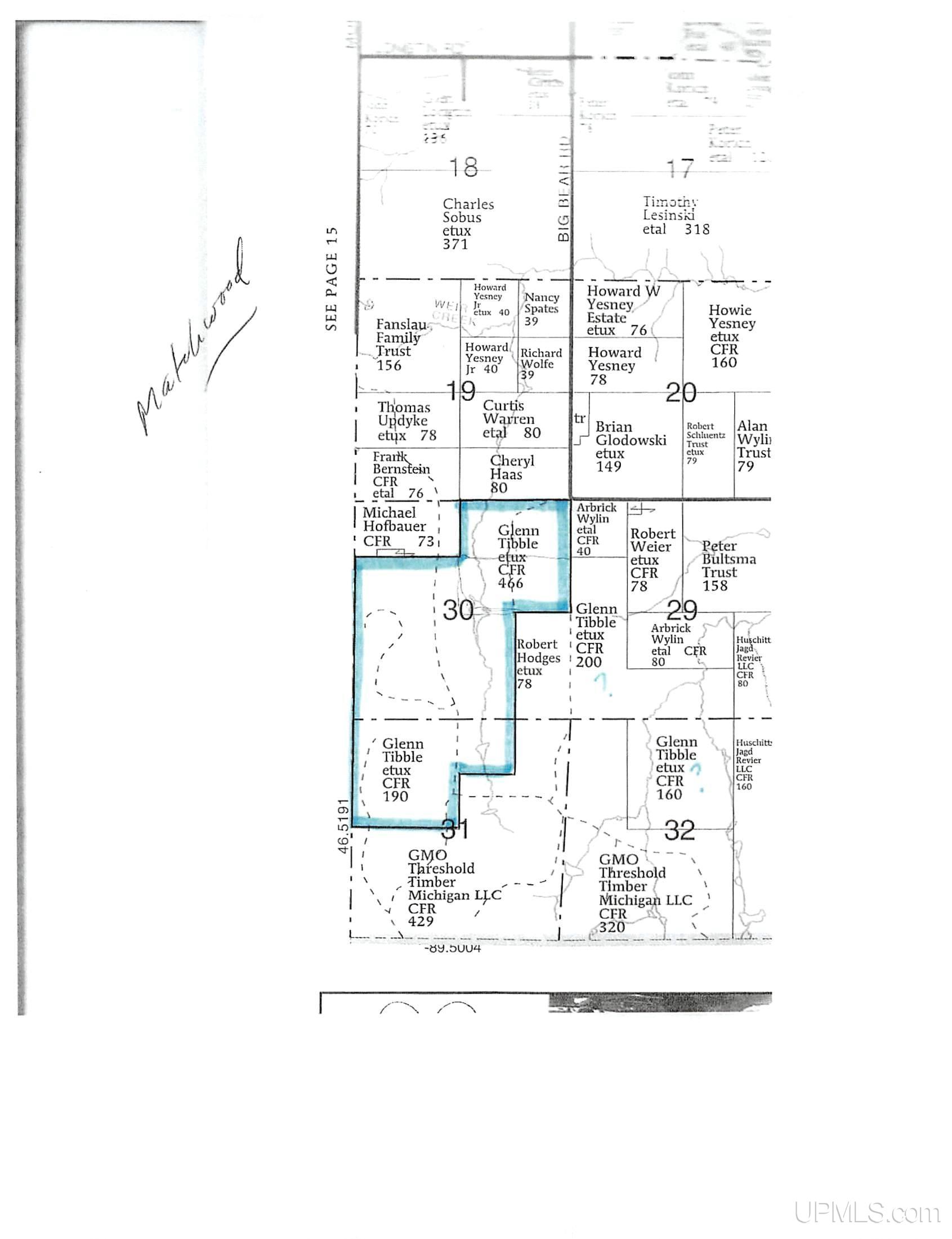 Tbd Big Bear Road Ewen, MI 49925 - Photo 4 of 4