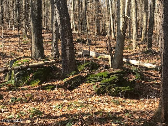 Rosenberg Road Lanesborough, MA 01237 - Photo 1 of 5 Beautiful Wooded Lot