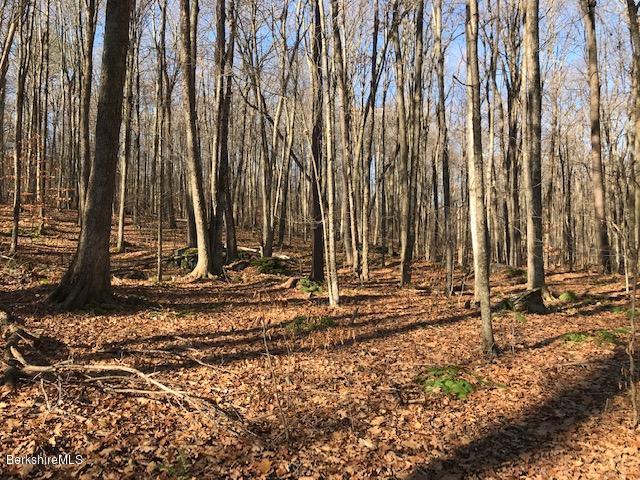 Rosenberg Road Lanesborough, MA 01237 - Photo 3 of 5 Beautiful wooded lot