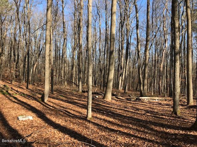 Rosenberg Road Lanesborough, MA 01237 - Photo 4 of 5 Beautiful Wooded Lot