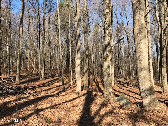 Rosenberg Road Lanesborough, MA 01237 - Photo 5 of 5 Beautiful Wooded Lot