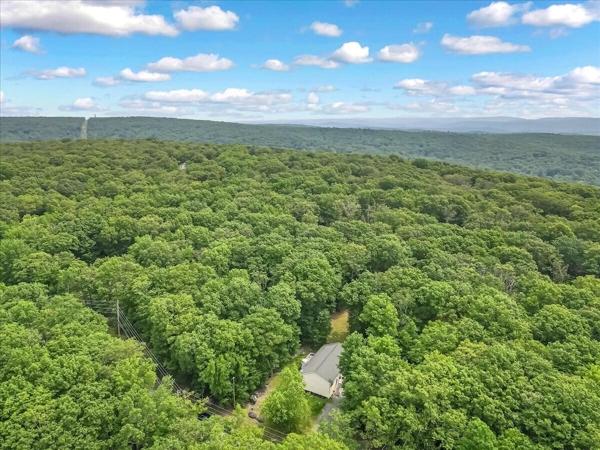2236 Eagle Path Bushkill, PA 18324 - Photo 4 of 30 a view of an ocean and a yard