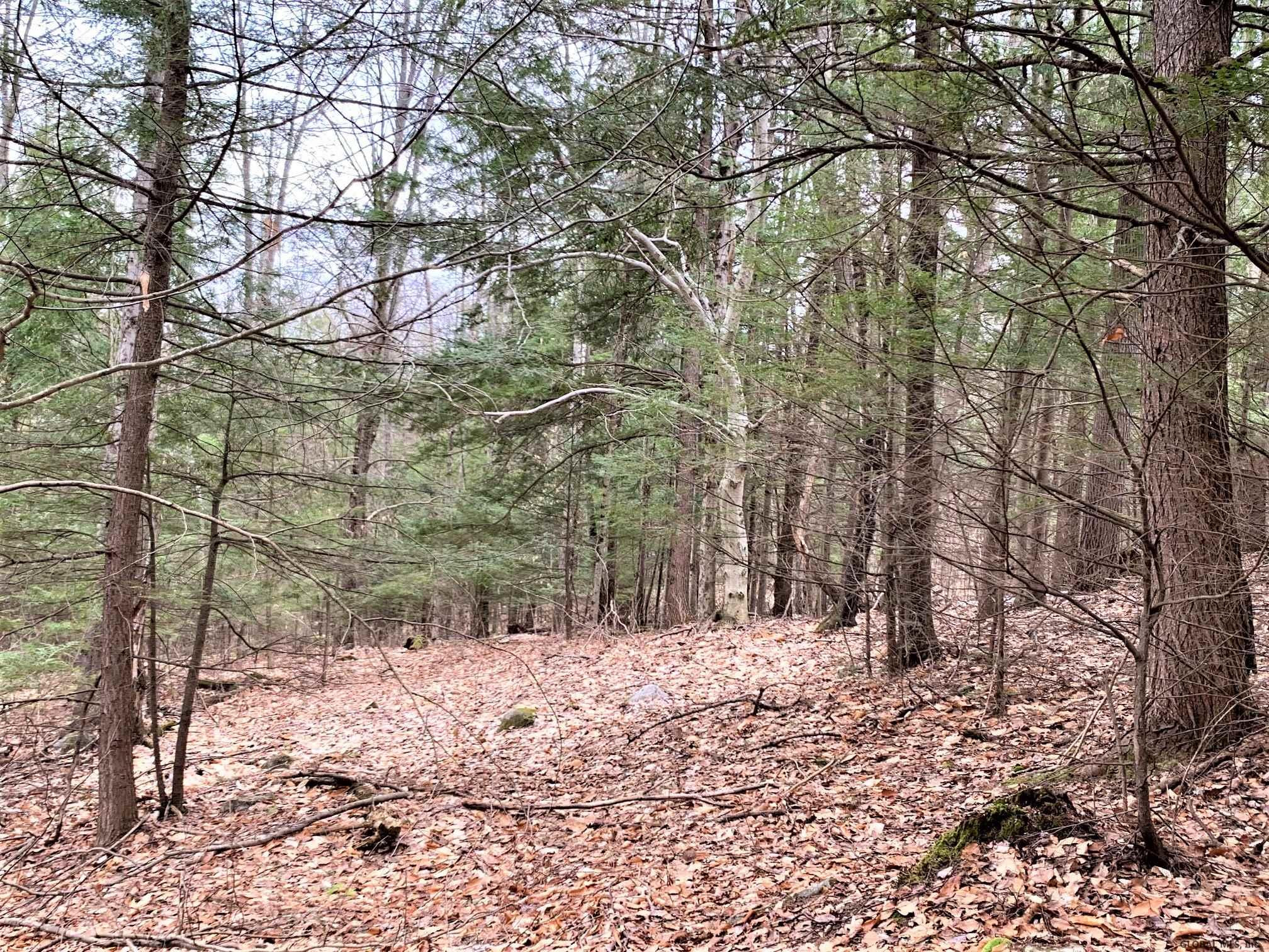 Lot#3 Spring Woods Road Diamond Point, NY 12824 - Photo 3 of 11 Photo 3