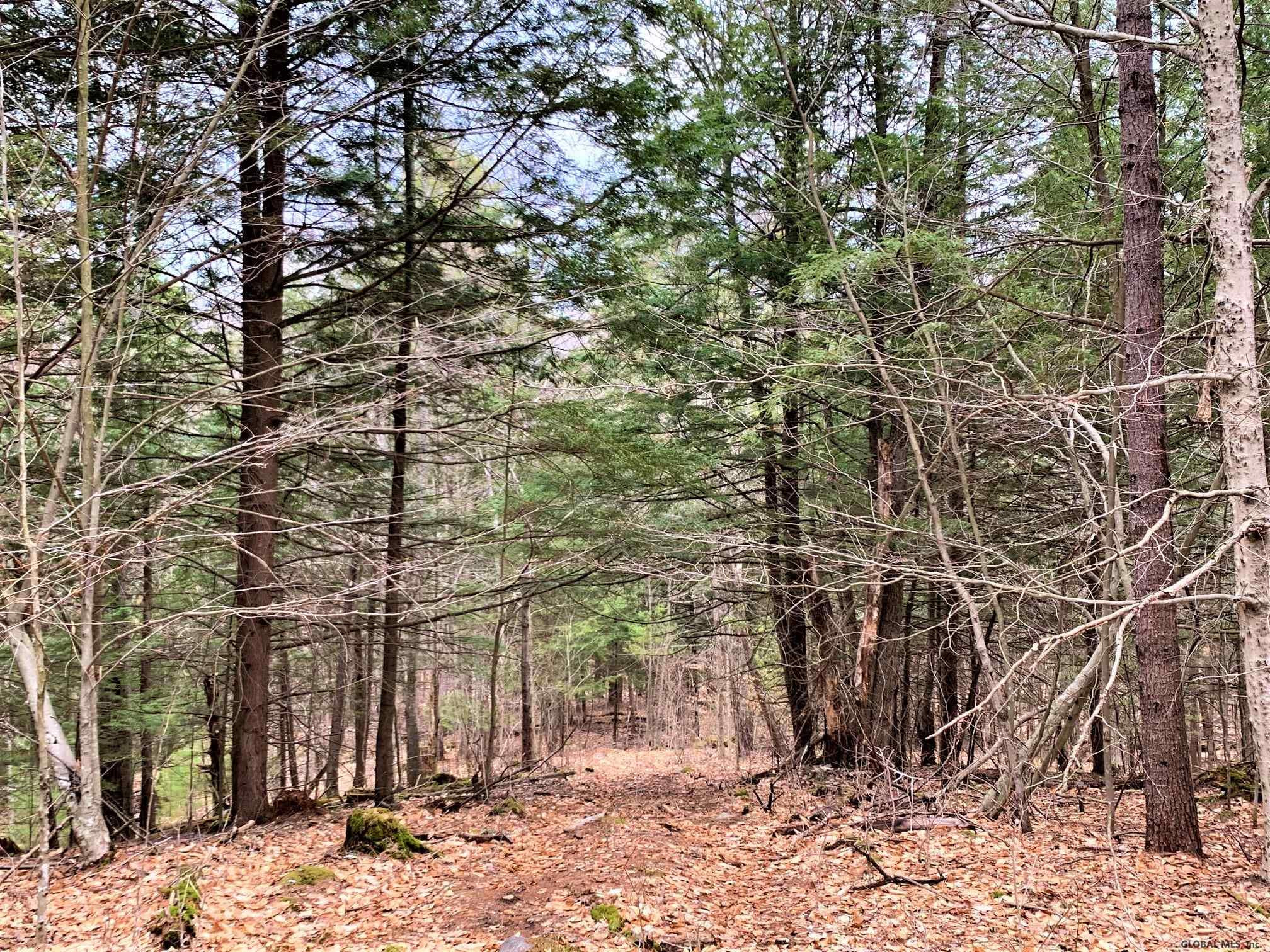 Lot#3 Spring Woods Road Diamond Point, NY 12824 - Photo 4 of 11 Photo 4