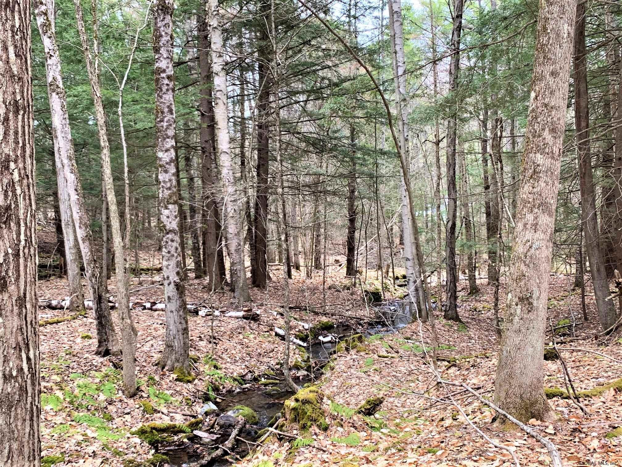 Lot#3 Spring Woods Road Diamond Point, NY 12824 - Photo 5 of 11 Photo 5