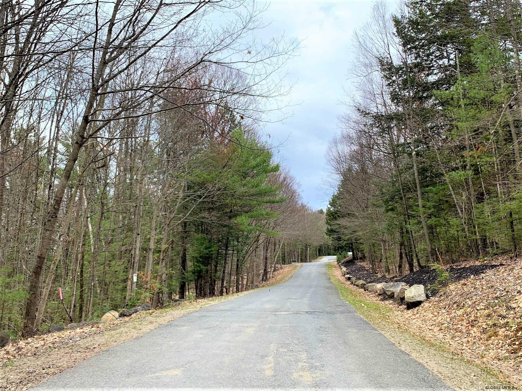 Lot#3 Spring Woods Road Diamond Point, NY 12824 - Photo 6 of 11 Photo 6