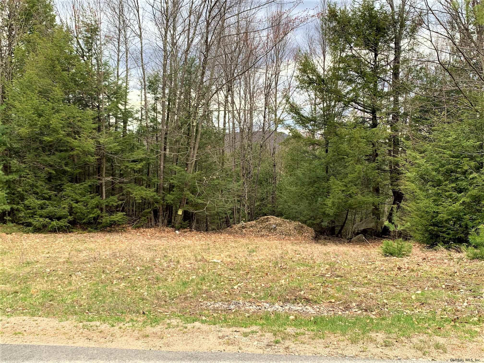 Lot#3 Spring Woods Road Diamond Point, NY 12824 - Photo 7 of 11 Photo 7