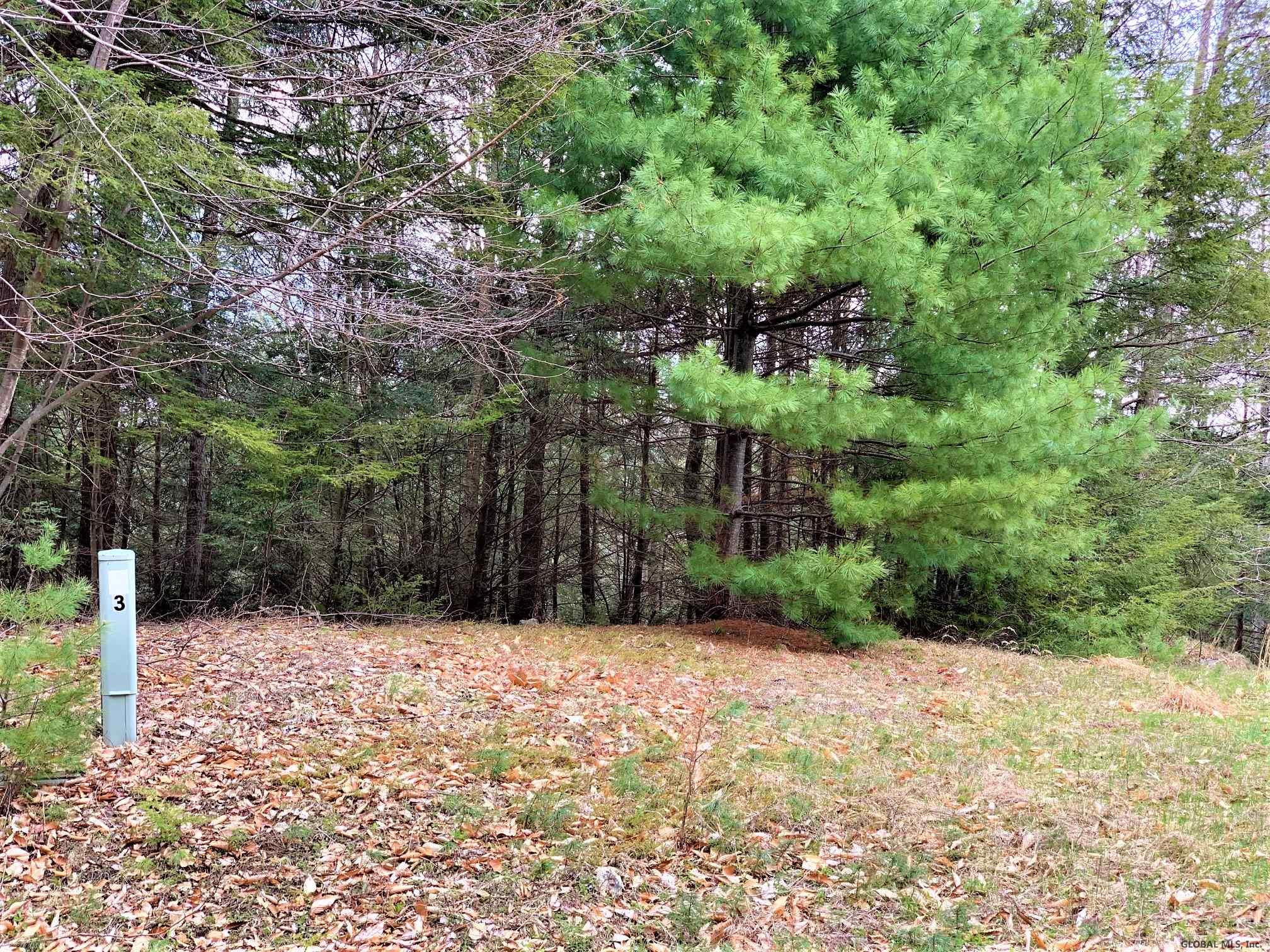 Lot#3 Spring Woods Road Diamond Point, NY 12824 - Photo 8 of 11 Photo 8