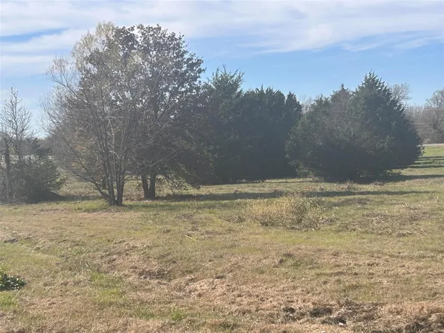 a view of a lake from a yard