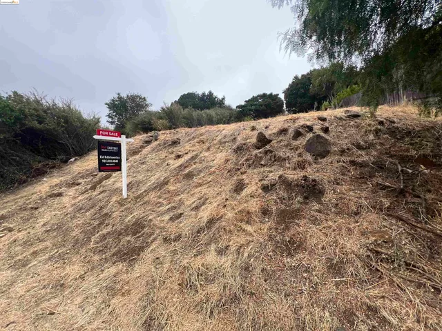 a pathway to a yard with a house and trees