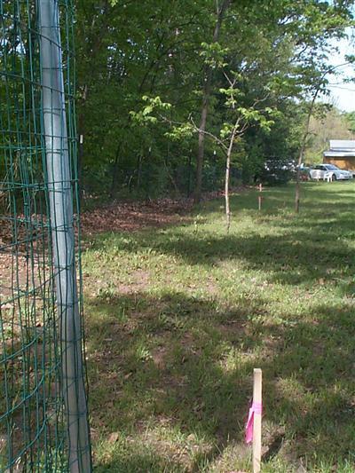 1156 Quarterline Road Muskegon, MI 49442 - Photo 8 of 13 Additional Photo