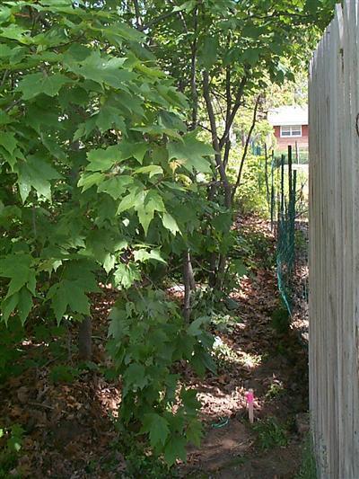 1156 Quarterline Road Muskegon, MI 49442 - Photo 9 of 13 Additional Photo