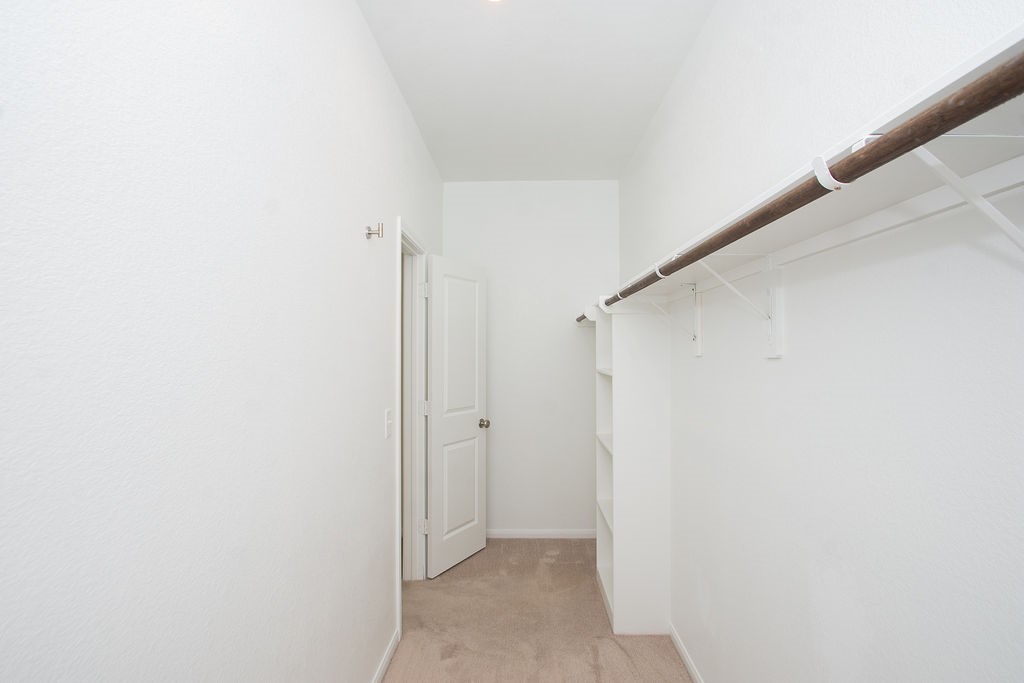 23502 Glenbuck St Spring Spring, TX 77373 - Photo 31 of 50 This is a spacious walk-in closet with white walls and carpeted flooring. It features a long hanging rod and shelving for ample storage.