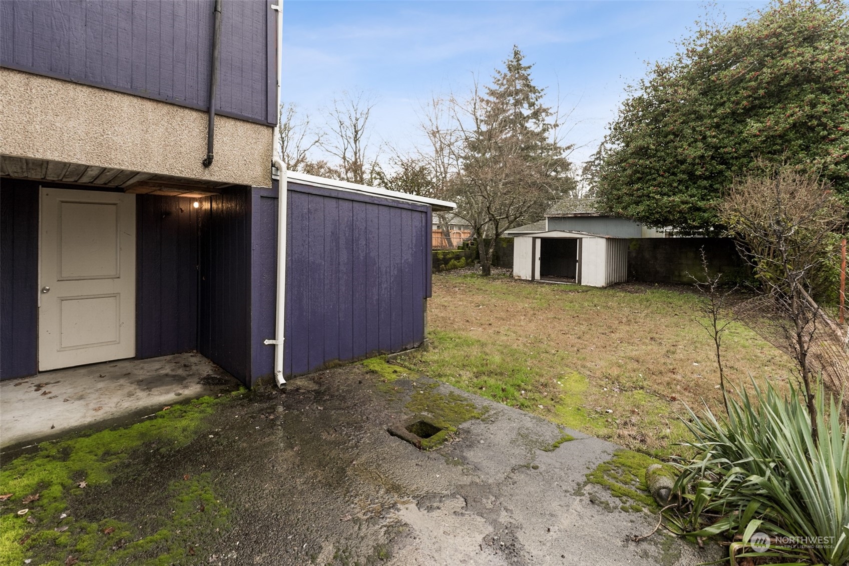 8520 Meadow Road Southwest Lakewood, WA 98499 - Photo 23 of 24 a view of a backyard of the house
