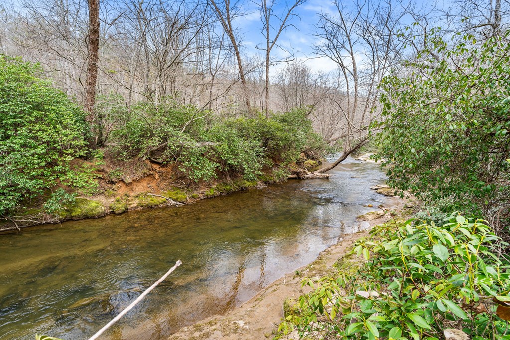 1721 Settlement Road Young Harris, GA 30582 - Photo 2 of 54 a view of a lake with a yard