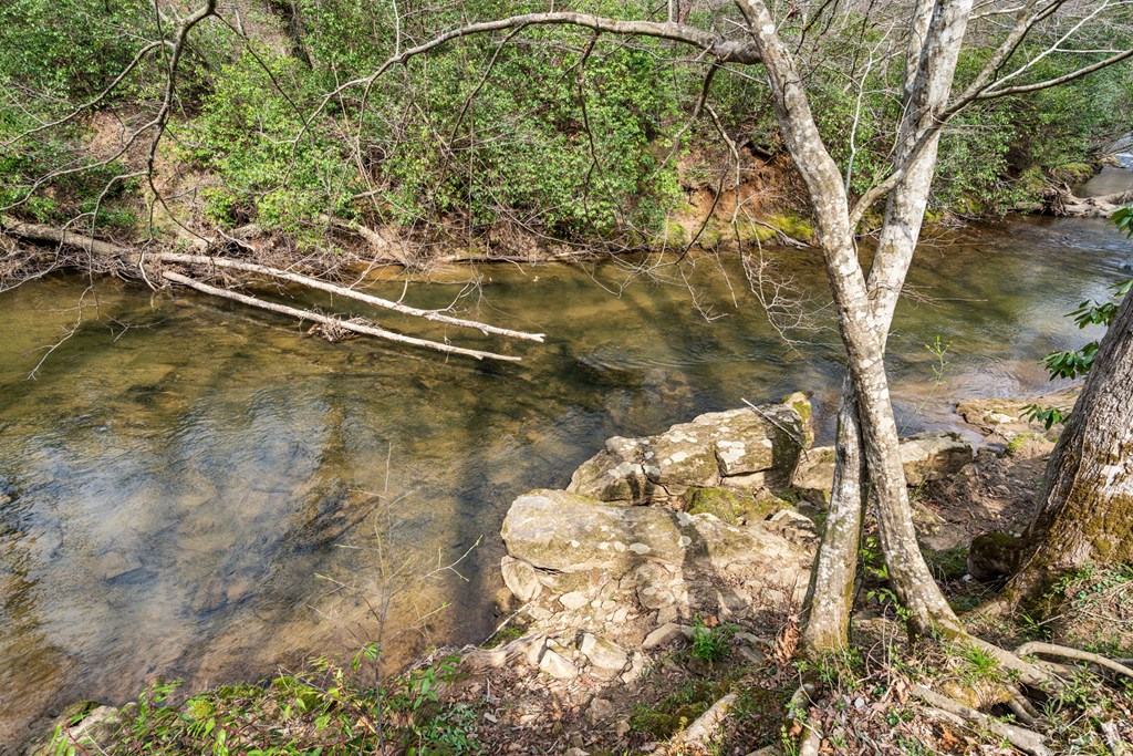 1721 Settlement Road Young Harris, GA 30582 - Photo 32 of 54 a view of lake