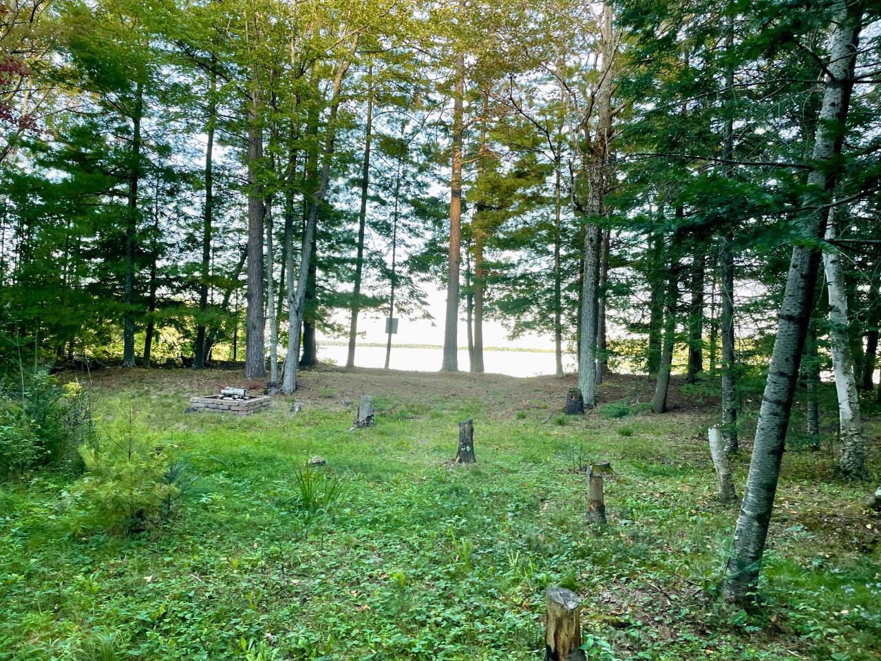 On On Shore Road Pelican Lake, WI 54463 - Photo 4 of 24 Gallery Image 4