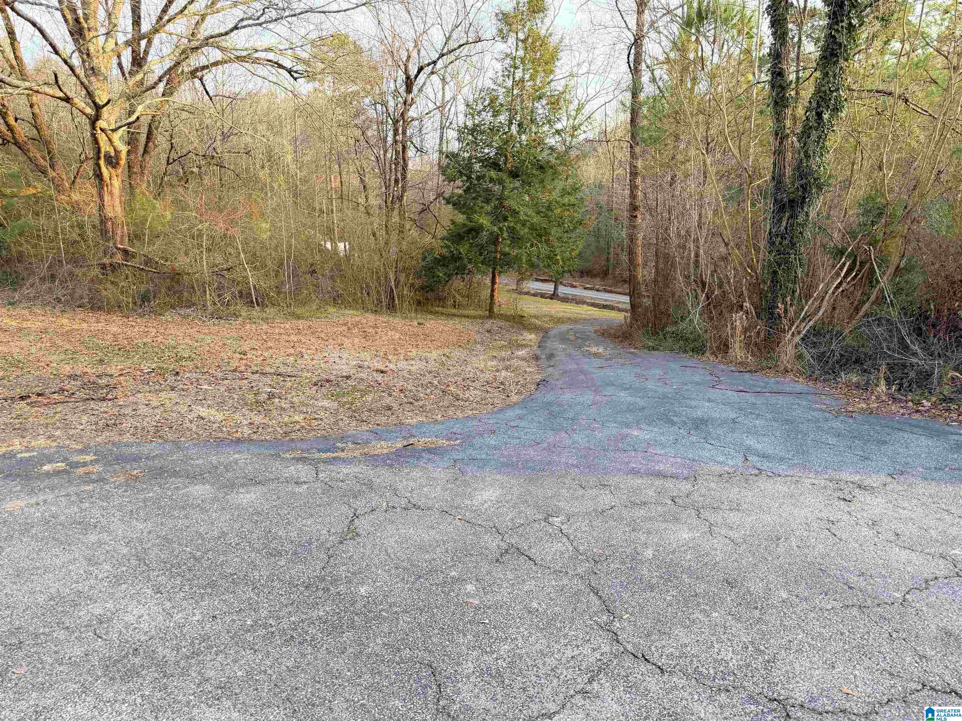 5134 Dug Hollow Road Pinson, AL 35126 - Photo 2 of 17