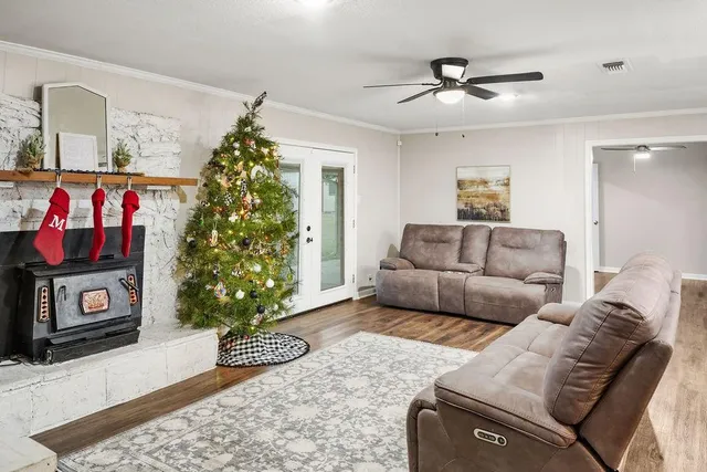 a living room with furniture and a potted plant