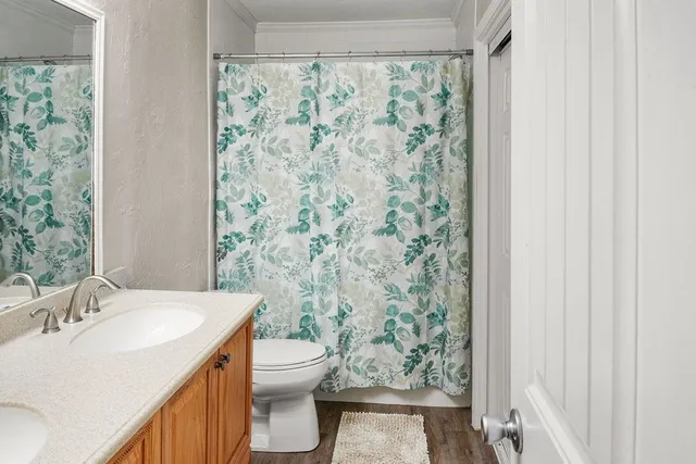 a bathroom with a granite countertop sink and a toilet